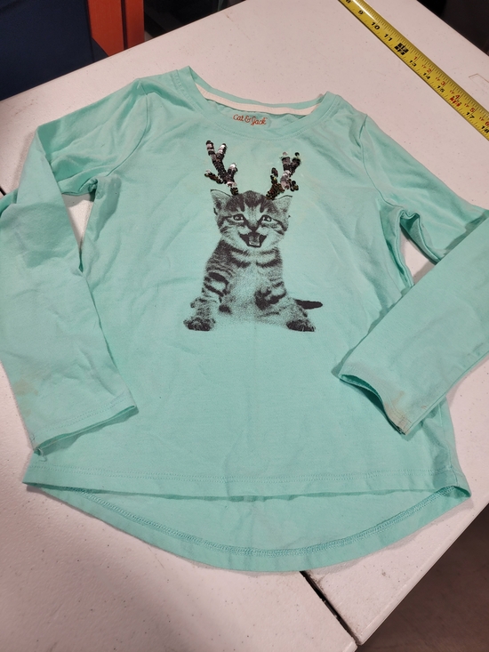 Cat & Jack Other - Cat & Jack Mint Green Long-Sleeve Kitten Tee with Sequin Antlers